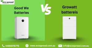 Good We Batteries vs Growatt Batteries