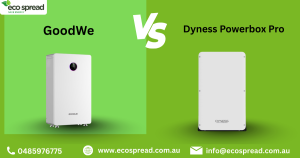 GoodWe vs Dyness Powerbox