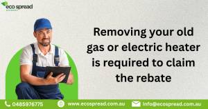 Old Gas or Electric Heater